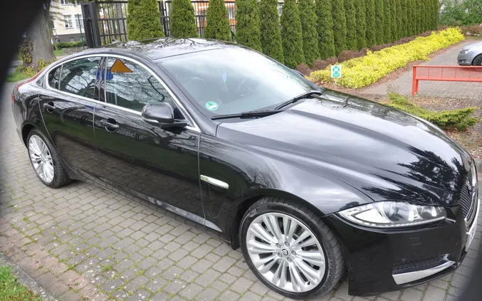 jaguar zachodniopomorskie Jaguar XF cena 59900 przebieg: 226000, rok produkcji 2014 z Recz